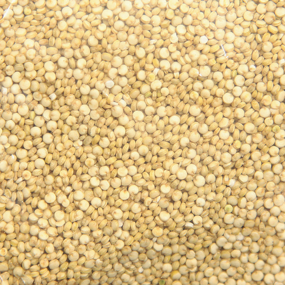Kvinoa OH - (1 x 5 kg) (luomu)